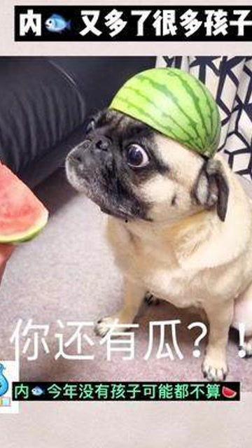 娱乐吃瓜君婴儿,揭秘婴儿的神奇成长之旅 第2张 娱乐吃瓜君婴儿,揭秘婴儿的神奇成长之旅 第2张